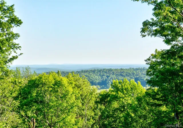 Homes for sale in Fremont, NY | 119 Overlook Cir, Fremont, NY 12736 | MLS# 987599