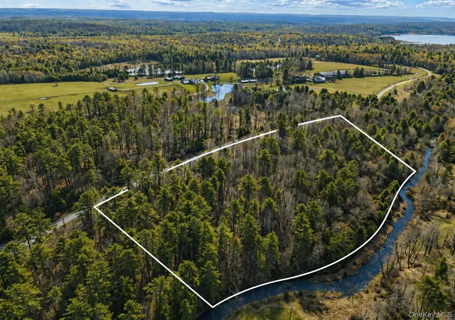 Photo 2 of Land for sale at Chapin Trl, Bethel, NY 12786 | MLS# 988112 | Listing updated on 2026-08-04