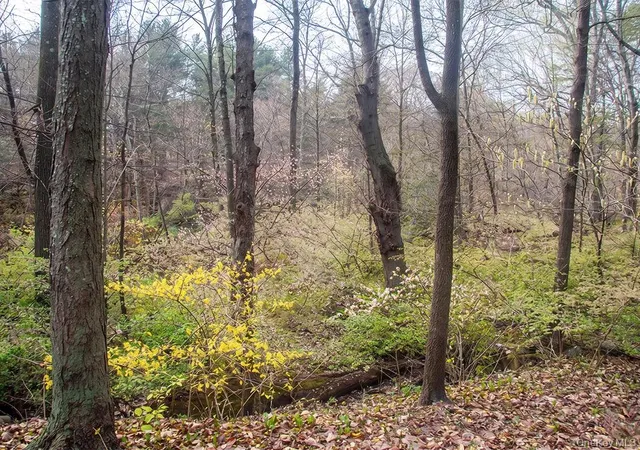 Photo 4 of Land for sale at Chapin Trl, Bethel, NY 12786 | MLS# 988112 | Listing updated on 2026-08-04