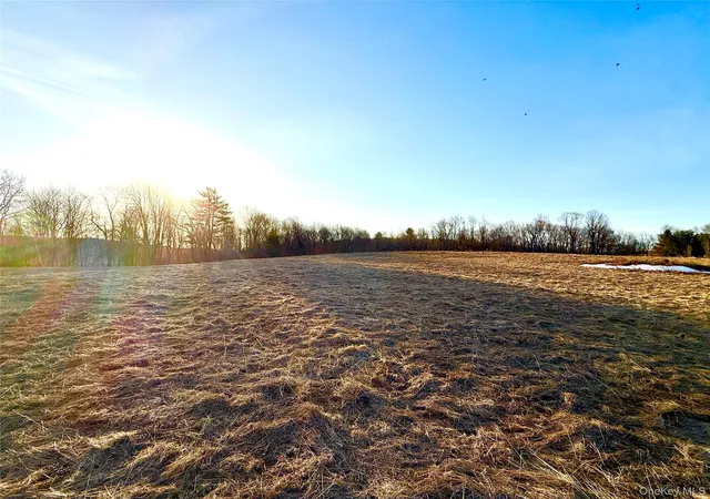 Photo 1 of Land for sale at Tbd Snake Hl Rd, Walton, NY 13775 | MLS# 988500 | Listing updated on 2026-04-22