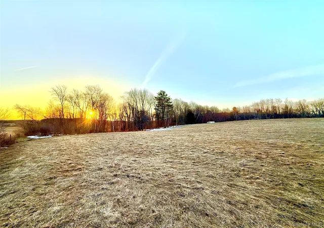 Photo 2 of Land for sale at Tbd Snake Hl Rd, Walton, NY 13775 | MLS# 988500 | Listing updated on 2026-04-22