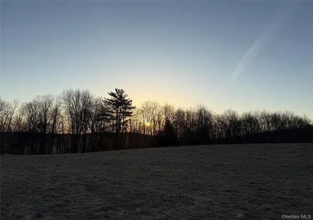 Photo 3 of Land for sale at Tbd Snake Hl Rd, Walton, NY 13775 | MLS# 988500 | Listing updated on 2026-04-22