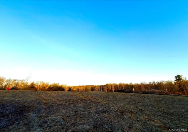 Photo 4 of Land for sale at Tbd Snake Hl Rd, Walton, NY 13775 | MLS# 988500 | Listing updated on 2026-04-22
