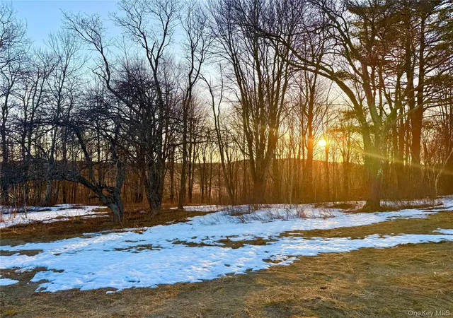Photo 5 of Land for sale at Tbd Snake Hl Rd, Walton, NY 13775 | MLS# 988500 | Listing updated on 2026-04-22