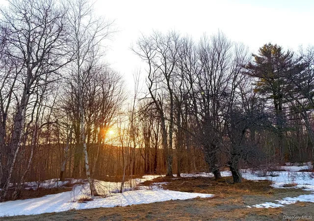 Photo 9 of Land for sale at Tbd Snake Hl Rd, Walton, NY 13775 | MLS# 988500 | Listing updated on 2026-04-22