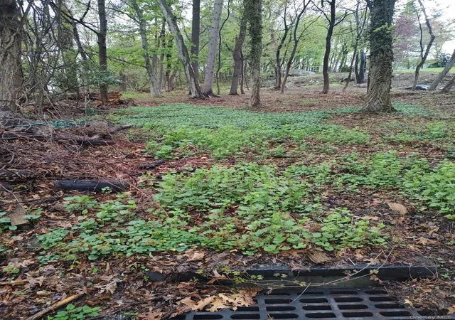 3rd image of 16 Castle Walk, Scarsdale, NY 10583 | MLS# 988923