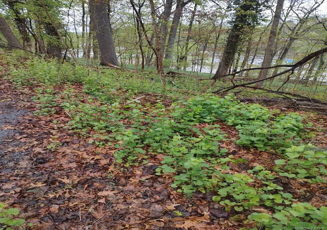 4th image of 16 Castle Walk, Scarsdale, NY 10583 | MLS# 988923