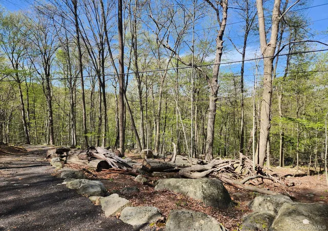 Photo 3 of Land for sale at 19 Brandt Rd, Ramapo, NY 10931 | MLS# 989405 | Listing updated on 2026-07-22
