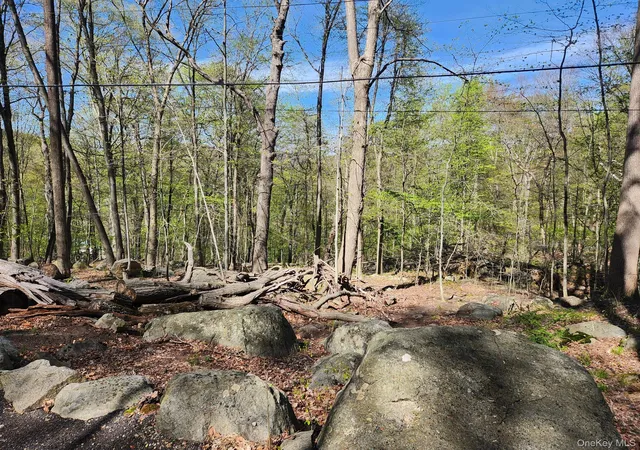 Photo 5 of Land for sale at 19 Brandt Rd, Ramapo, NY 10931 | MLS# 989405 | Listing updated on 2026-07-22