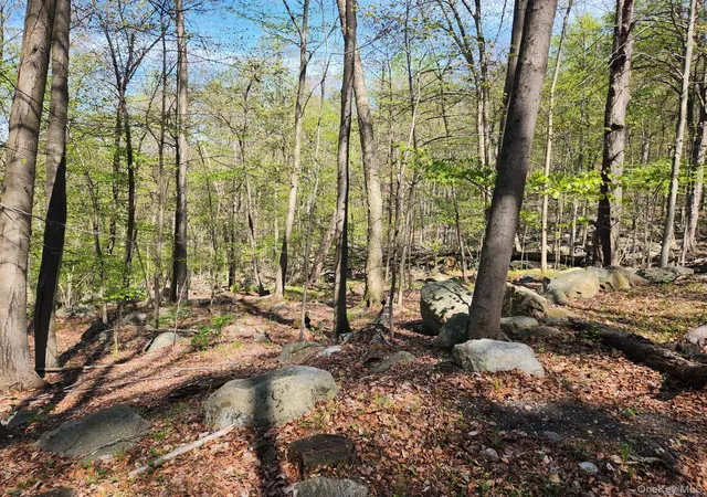 Photo 7 of Land for sale at 19 Brandt Rd, Ramapo, NY 10931 | MLS# 989405 | Listing updated on 2026-07-22