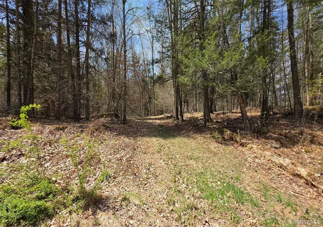 Homes for sale in Cochecton, NY | Lot 12 Tyler Rd, Cochecton, NY 12726 | MLS# 989599