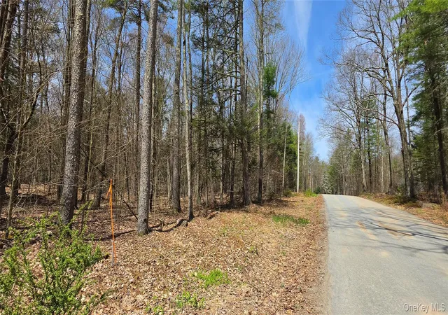 Homes for sale in Cochecton, NY | Lot 12 Tyler Rd, Cochecton, NY 12726 | MLS# 989599