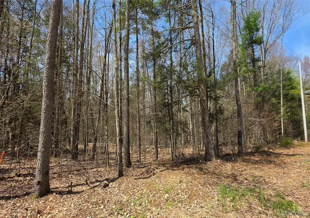 Homes for sale in Cochecton, NY | Lot 12 Tyler Rd, Cochecton, NY 12726 | MLS# 989599