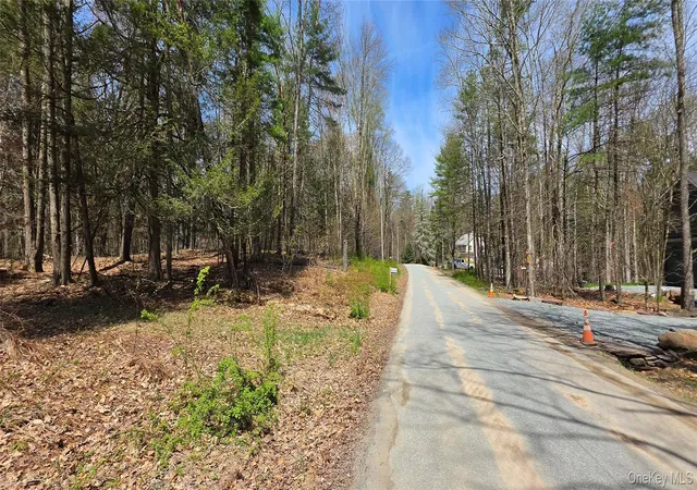Homes for sale in Cochecton, NY | Lot 12 Tyler Rd, Cochecton, NY 12726 | MLS# 989599