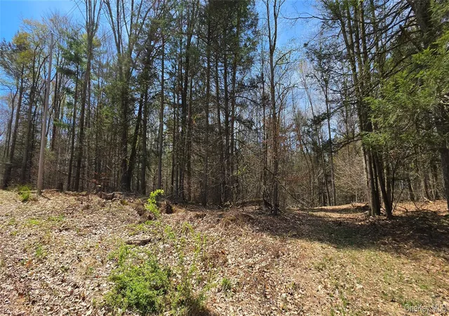Homes for sale in Cochecton, NY | Lot 12 Tyler Rd, Cochecton, NY 12726 | MLS# 989599