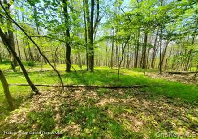 Homes for sale in Wawarsing, NY | Tbd Piney Lane, Wawarsing, NY 12420 | MLS# 990009