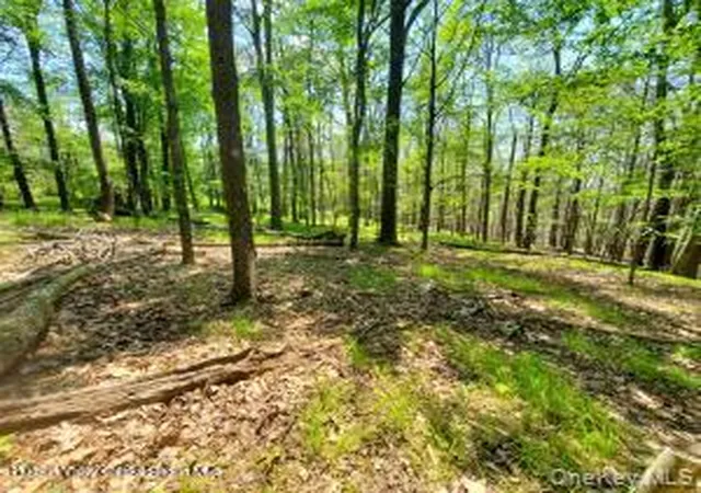 Homes for sale in Wawarsing, NY | Tbd Piney Lane, Wawarsing, NY 12420 | MLS# 990009