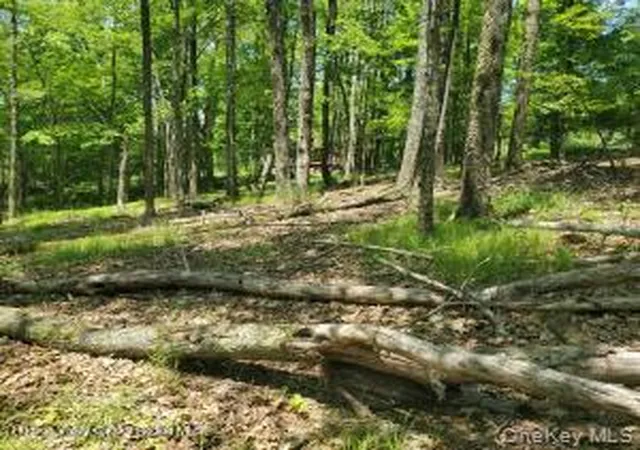 Homes for sale in Wawarsing, NY | Tbd Piney Lane, Wawarsing, NY 12420 | MLS# 990009