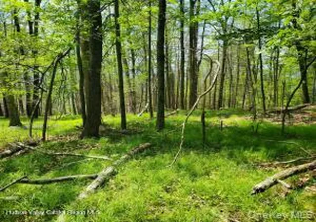 Homes for sale in Wawarsing, NY | Tbd Piney Lane, Wawarsing, NY 12420 | MLS# 990009