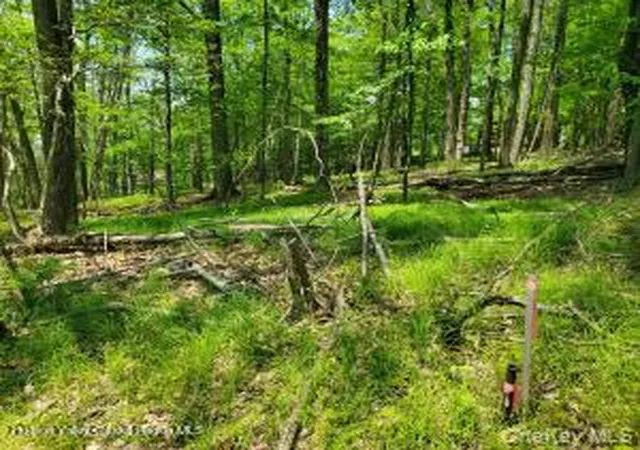 Homes for sale in Wawarsing, NY | Tbd Piney Lane, Wawarsing, NY 12420 | MLS# 990009