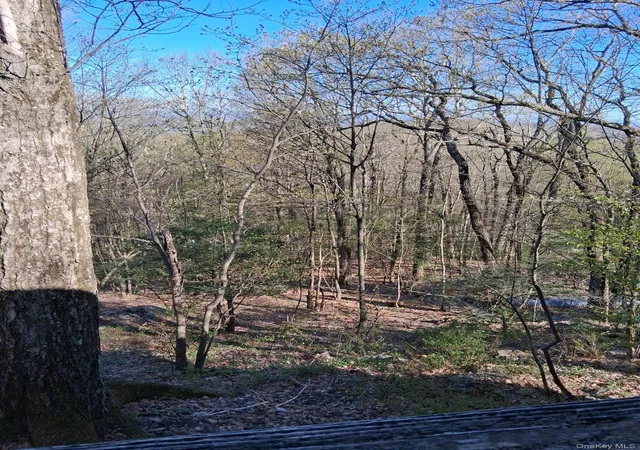 Photo 3 of Sale Pending at 20 N Oakwood Trl, Blooming Grove, NY 10950 | MLS# 990080 | Listing updated on 2026-09-15