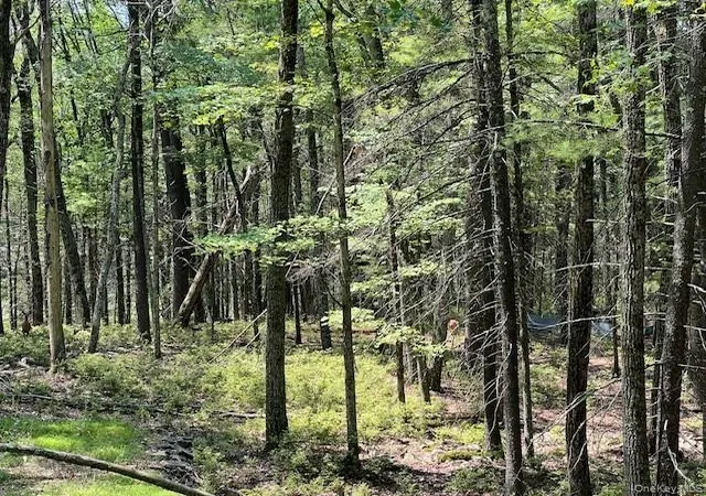 Photo 1 of Sale Pending at Lot 18 Hunczak Blvd, Lumberland, NY 12737 | MLS# 990463 | Listing updated on 2026-06-12