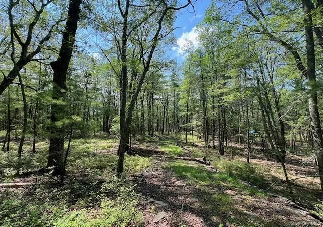Photo 2 of Sale Pending at Lot 18 Hunczak Blvd, Lumberland, NY 12737 | MLS# 990463 | Listing updated on 2026-06-12