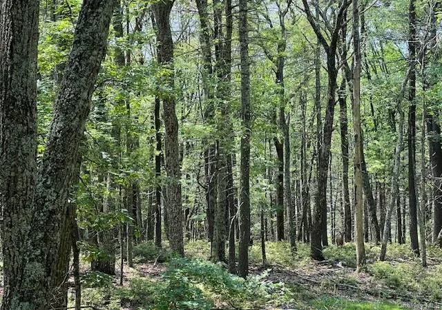 Photo 4 of Sale Pending at Lot 18 Hunczak Blvd, Lumberland, NY 12737 | MLS# 990463 | Listing updated on 2026-06-12