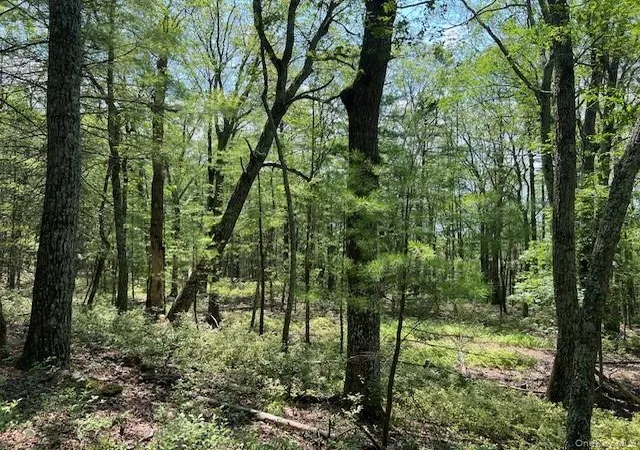 Photo 5 of Sale Pending at Lot 18 Hunczak Blvd, Lumberland, NY 12737 | MLS# 990463 | Listing updated on 2026-06-12