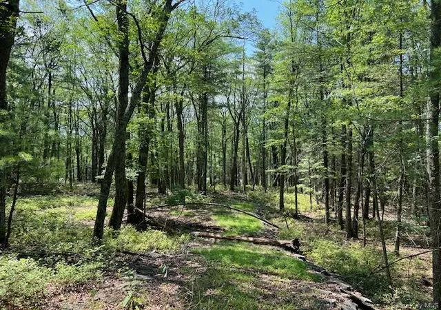 Photo 7 of Sale Pending at Lot 18 Hunczak Blvd, Lumberland, NY 12737 | MLS# 990463 | Listing updated on 2026-06-12
