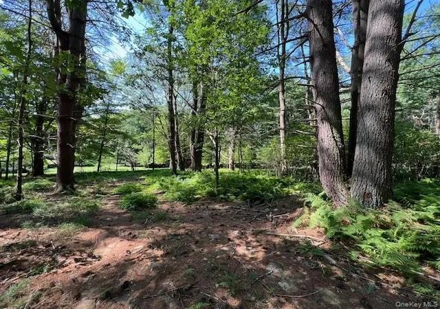 Photo 1 of Land for sale at Lot 473 High Rd, Lumberland, NY 12737 | MLS# 990465 | Listing updated on 2026-04-25