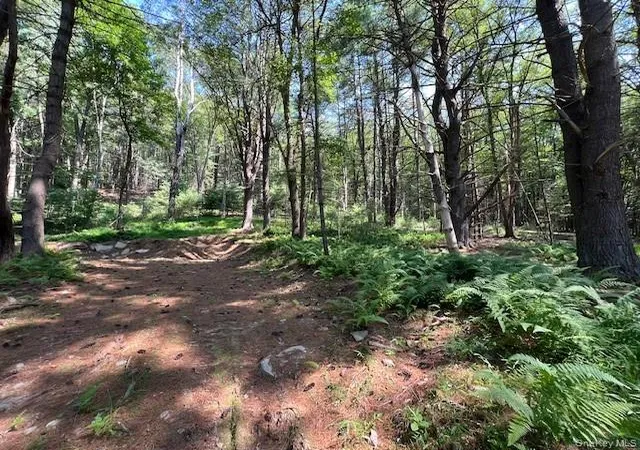 Photo 3 of Land for sale at Lot 473 High Rd, Lumberland, NY 12737 | MLS# 990465 | Listing updated on 2026-04-25