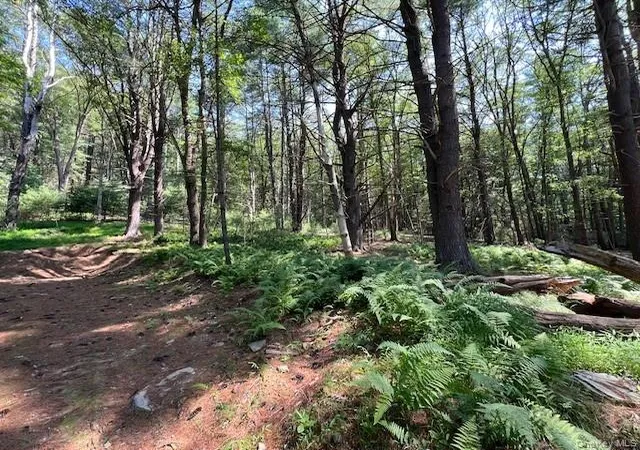 Photo 4 of Land for sale at Lot 473 High Rd, Lumberland, NY 12737 | MLS# 990465 | Listing updated on 2026-04-25