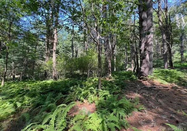 Photo 5 of Land for sale at Lot 473 High Rd, Lumberland, NY 12737 | MLS# 990465 | Listing updated on 2026-04-25