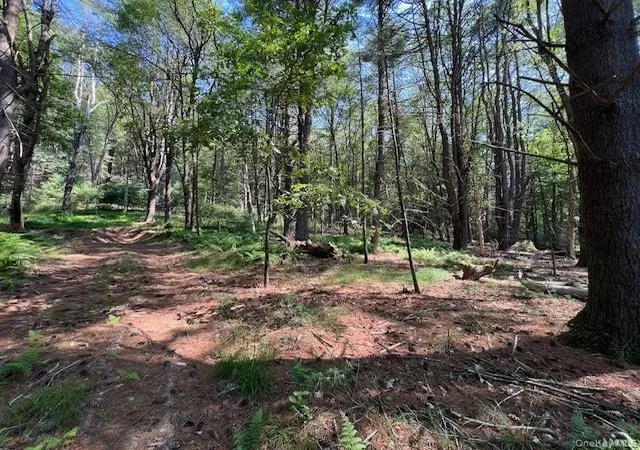 Photo 6 of Land for sale at Lot 473 High Rd, Lumberland, NY 12737 | MLS# 990465 | Listing updated on 2026-04-25