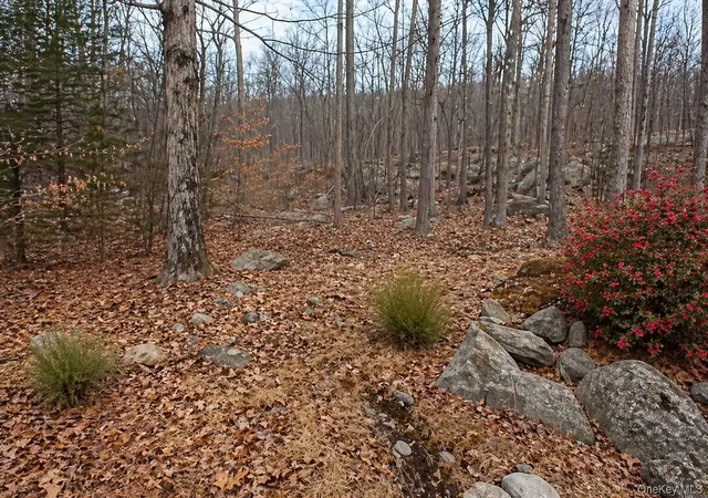Homes for sale in Greenwood Lake, NY | 59 Furnace Trl, Greenwood Lake, NY 10925 | MLS# 990512