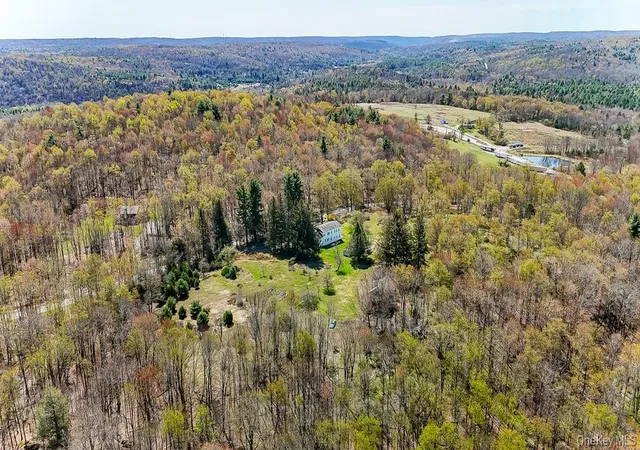 Homes for sale in Fallsburg, NY | 150 Ranch Hill Rd, Fallsburg, NY 12779 | MLS# 990808