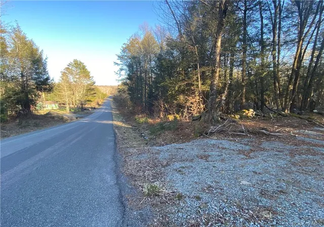 Homes for sale in Thompson, NY | Friedman Rd, Thompson, NY 12742 | MLS# 990850