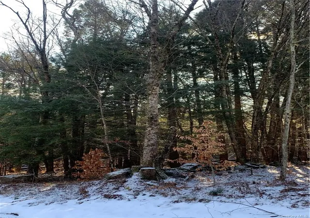 Homes for sale in Thompson, NY | Friedman Rd, Thompson, NY 12742 | MLS# 990850