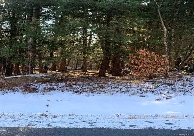 Homes for sale in Thompson, NY | Friedman Rd, Thompson, NY 12742 | MLS# 990850