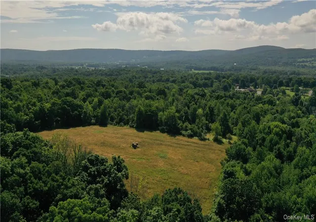 Land for sale at 56 Maple Ave, Warwick, NY 10990 | MLS# 990991