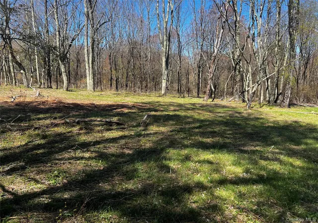 Homes for sale in Bethel, NY | 93 Stewart Rd, Bethel, NY 12720 | MLS# 991521