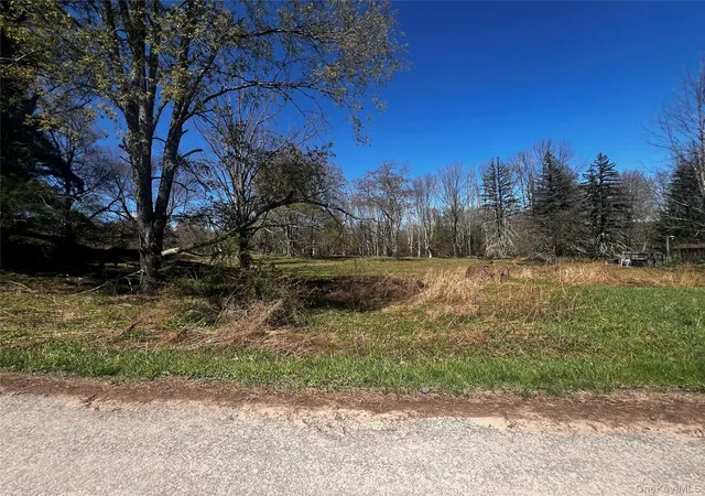 Homes for sale in Bethel, NY | 93 Stewart Rd, Bethel, NY 12720 | MLS# 991521