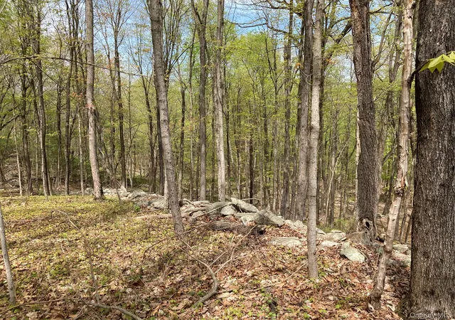 4th image of Canterbury Dr, Newburgh, NY 12550 | MLS# 991686