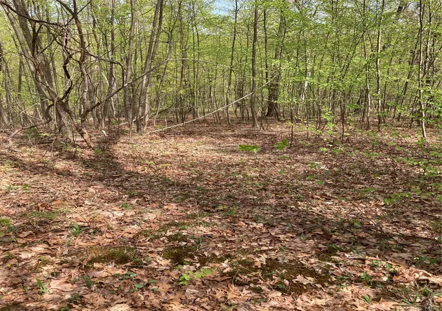 3rd image of Canterbury Dr, Newburgh, NY 12550 | MLS# 991686