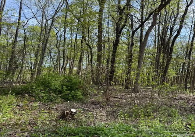 3rd image of Route 300, Newburgh, NY 12550 | MLS# 992185