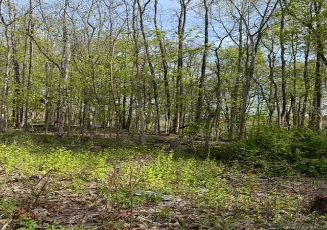 4th image of Route 300, Newburgh, NY 12550 | MLS# 992185