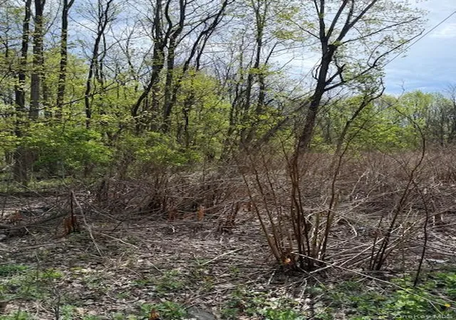 5th image of Route 300, Newburgh, NY 12550 | MLS# 992185