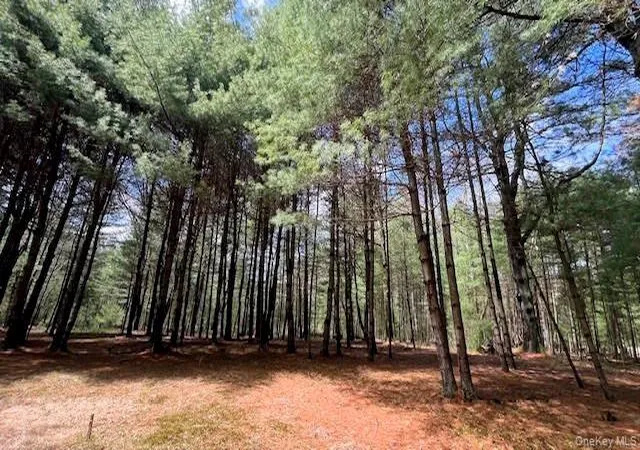 Homes for sale in Lumberland, NY | White Rd, Lumberland, NY 12737 | MLS# 992249