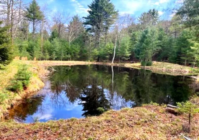 Homes for sale in Lumberland, NY | White Rd, Lumberland, NY 12737 | MLS# 992249